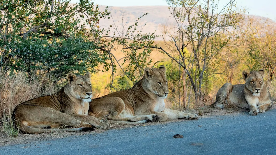 Sudáfrica Espectacular 2026