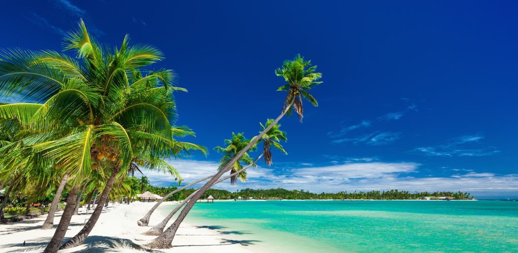 Fiji Puro - Nadi y Islas Mamanuca