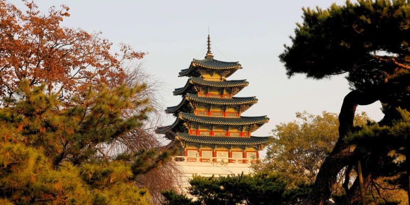 Japón + Corea del Sur + China + Bali - Tokio, Kioto, Seúl, Beijing, Shanghái, Bali y Ubud