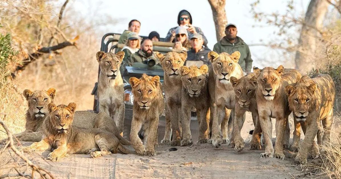 Sudáfrica Esencial - Johannesburgo, Kruger y Ciudad del Cabo