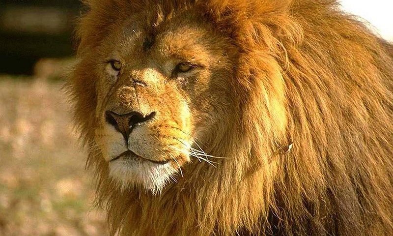 aventuras en Sudáfrica