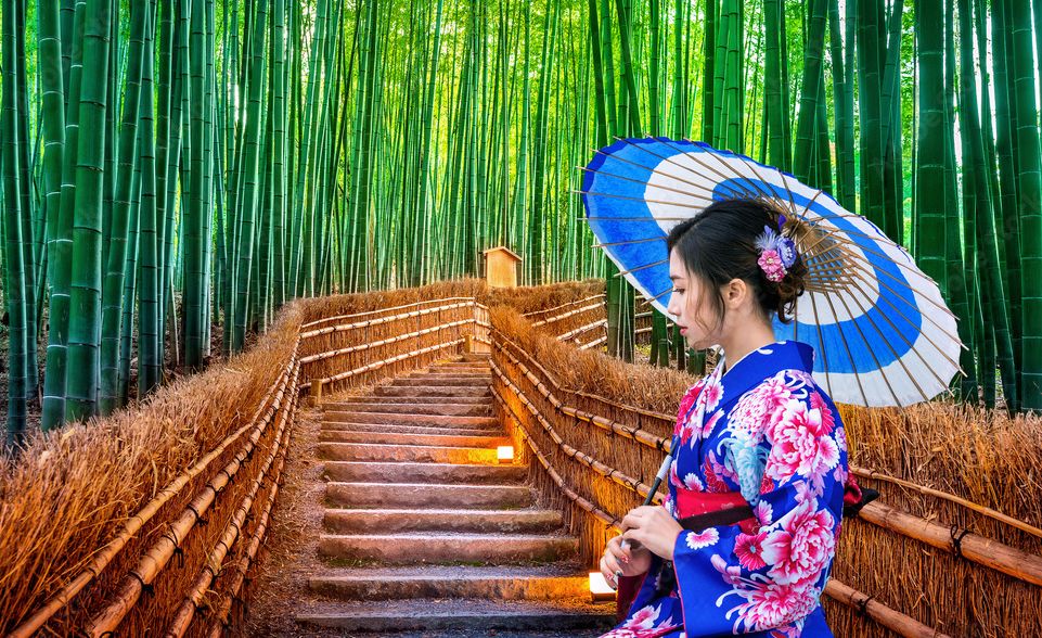 Japon Al Completo